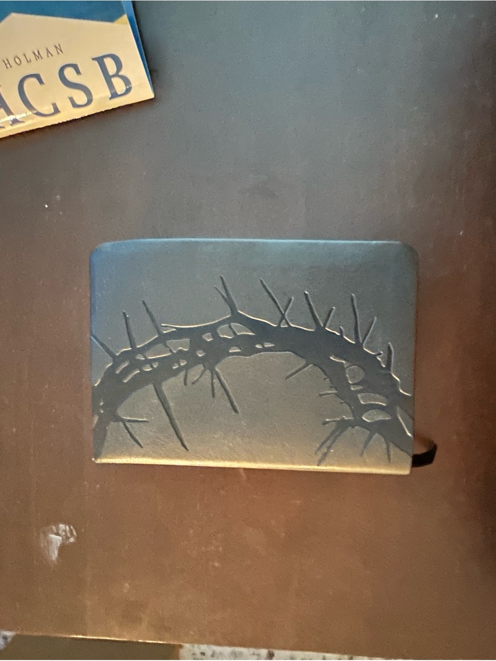 HCSB Holy Bible Large Print Compact Reference Thorn Cover